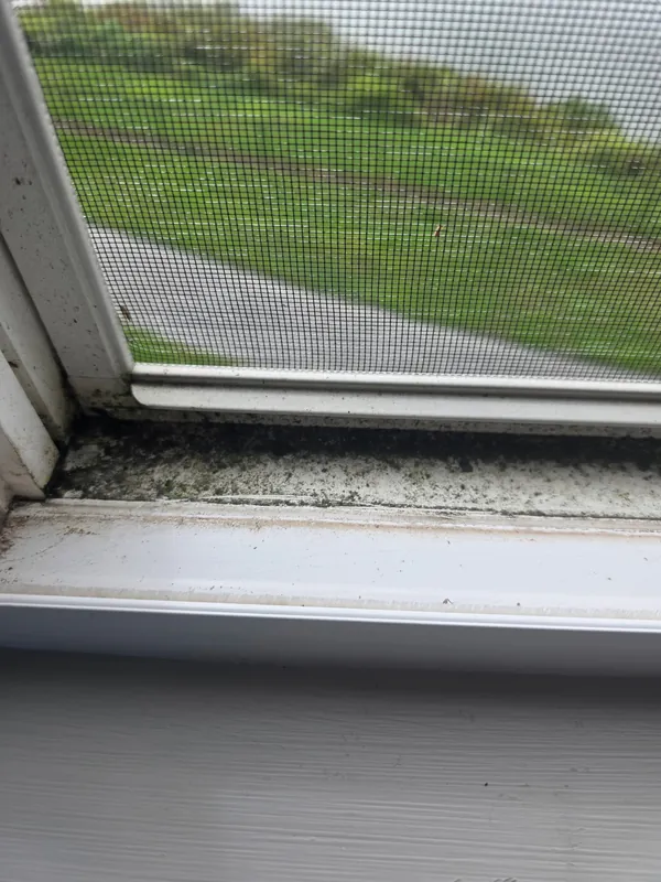 Before: window track and sill with dark buildup and debris beneath the screen.
